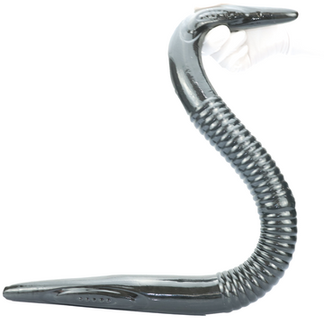 76.2 cm Grey Moray Double Head Dildo